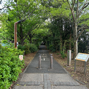 image1.png