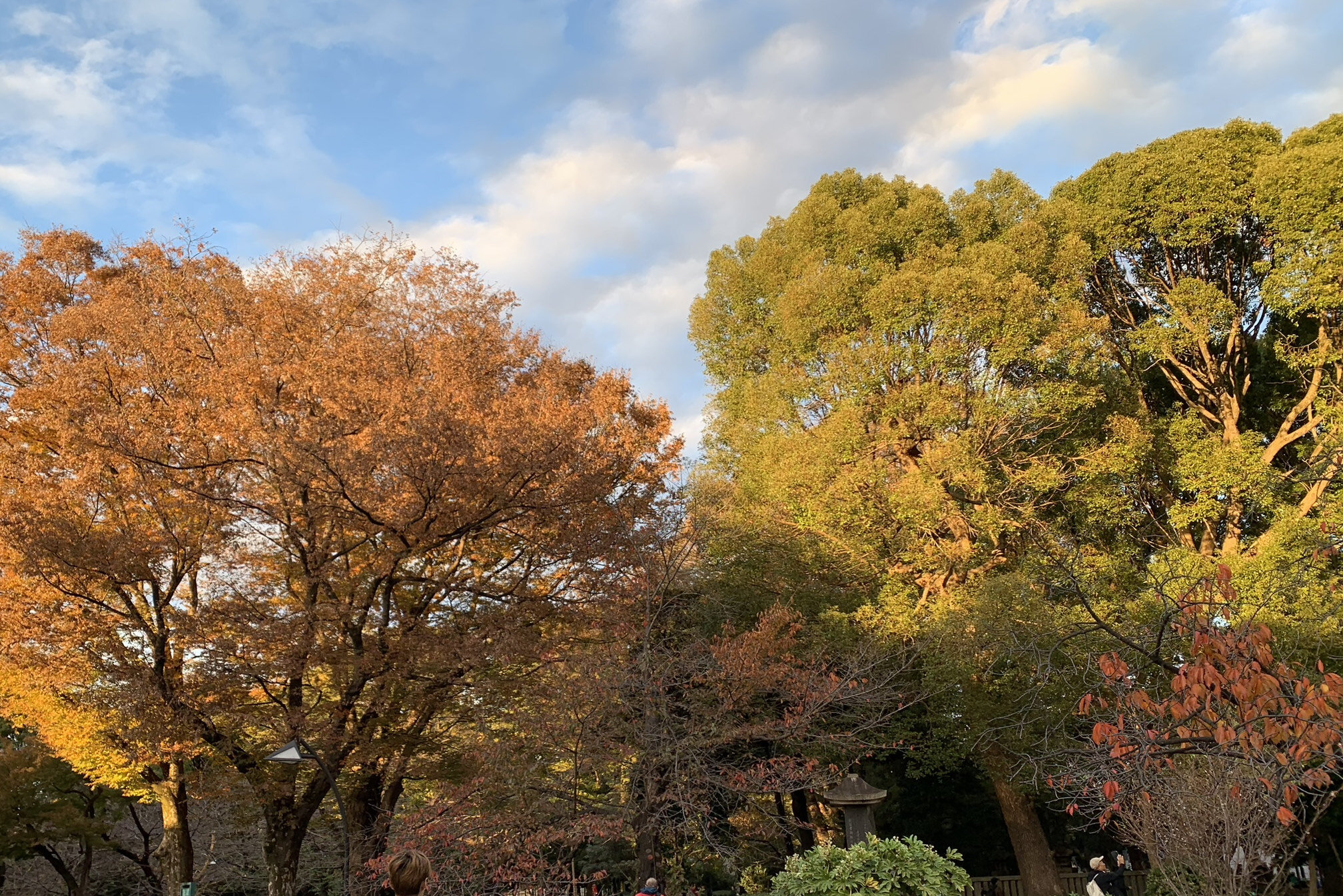 上野公園