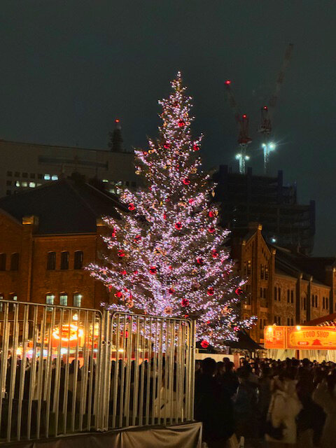 クリスマスツリーの写真