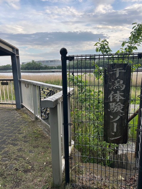 谷津干潟公園 干潟体験ゾーン