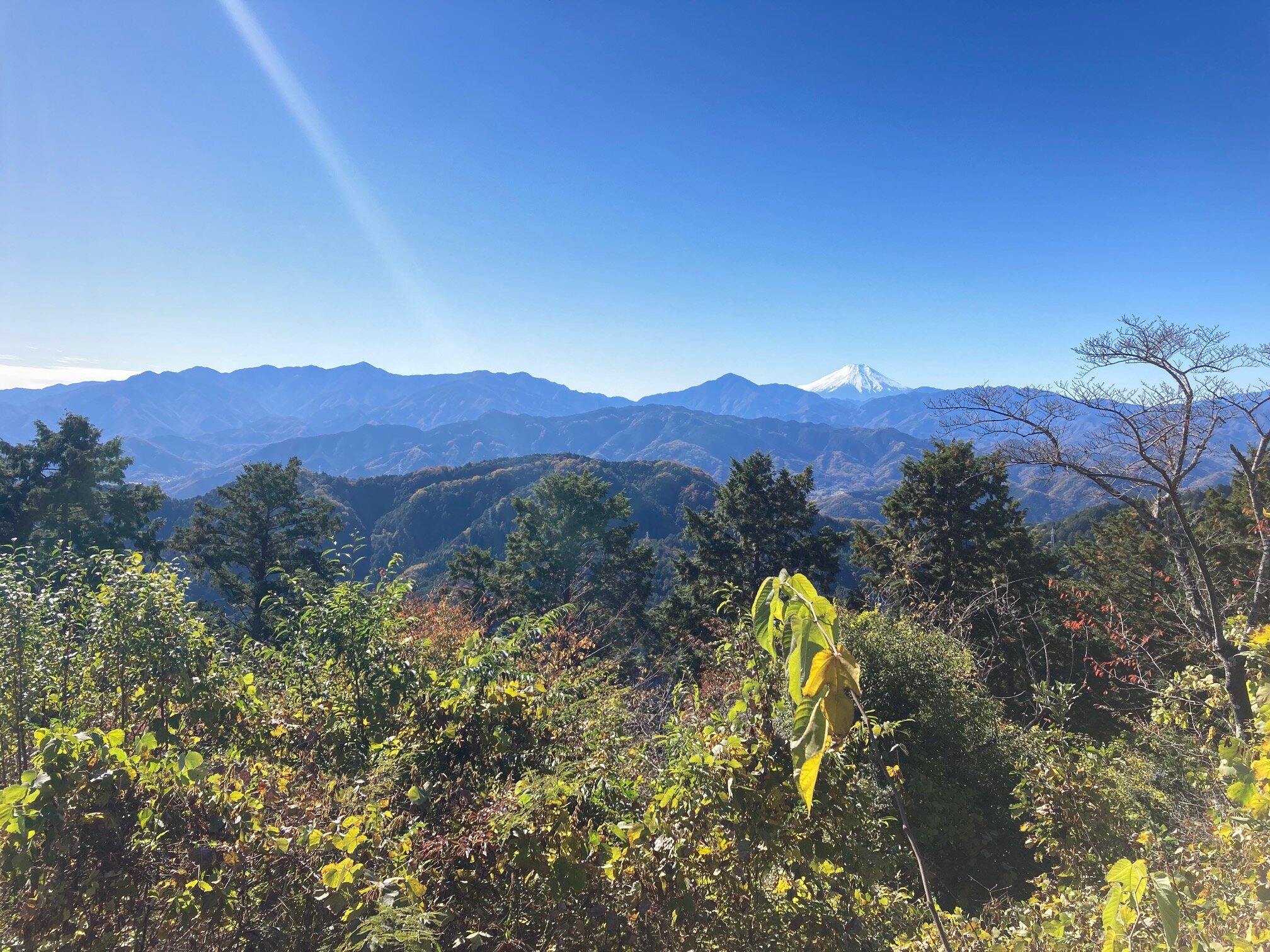 高尾山山頂からの風景